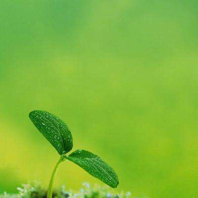 36氪报告：深圳市普渡科技股份有...