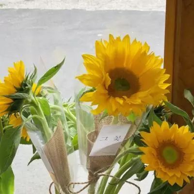 龙头体育娱乐APP/手机APP下载最新版